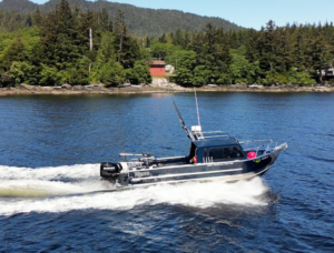 An aerial shot of a ketchikan wildlife tour boat zooming along the coast on a sunny day.